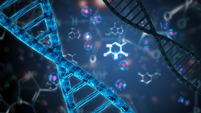 加拿大Biological(生物學專業)前景怎么樣?