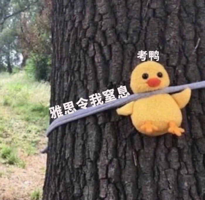 雅思考生請注意,雅思考試新增機位與考點