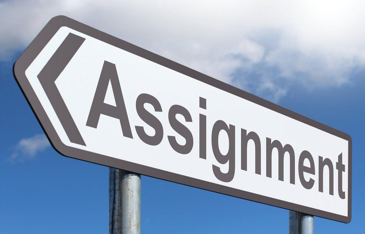 Assignment寫作