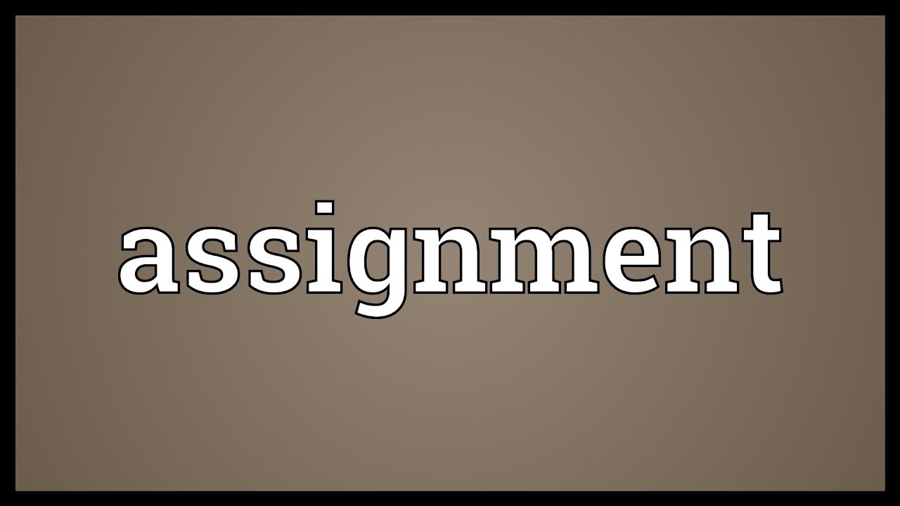 Assignment怎么寫