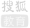 搜狐·年度品牌實(shí)力教育集團(tuán)