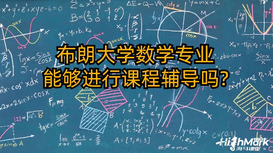 布朗大學數學專業能夠進行課程輔導嗎?