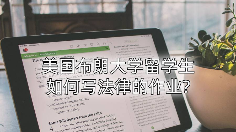 美國布朗大學留學生如何寫法律的作業?