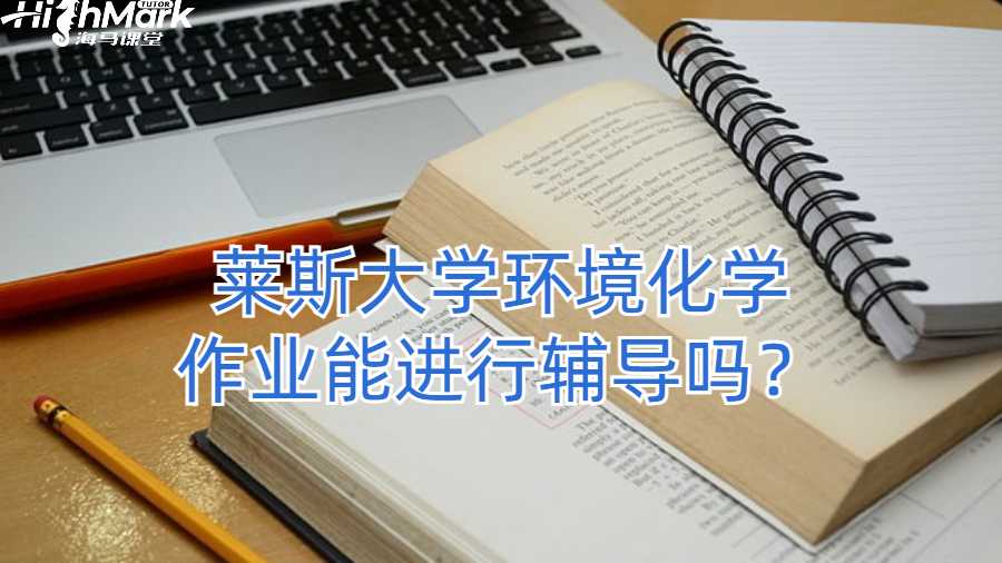 萊斯大學環境化學作業能進行輔導嗎？