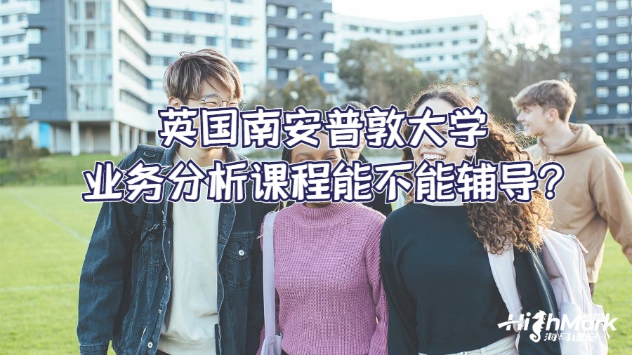 英國南安普敦大學業務分析課程能不能輔導?