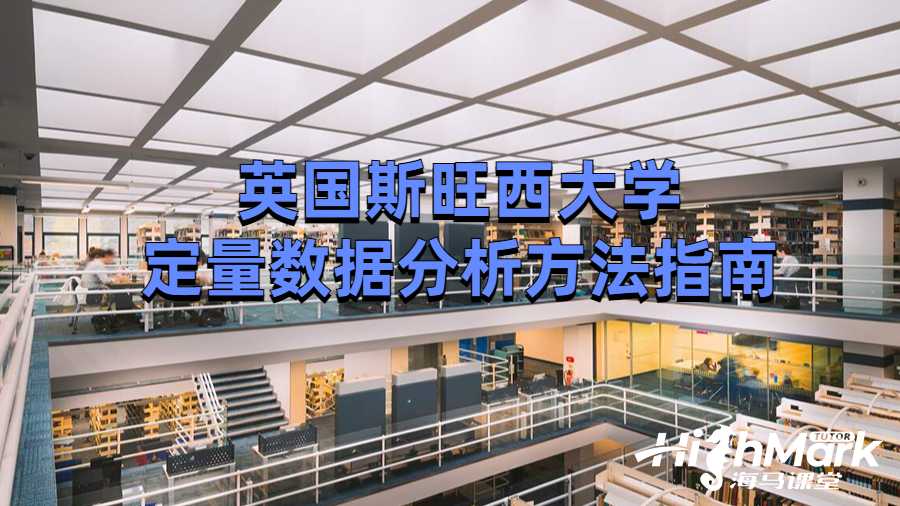 斯旺西大學