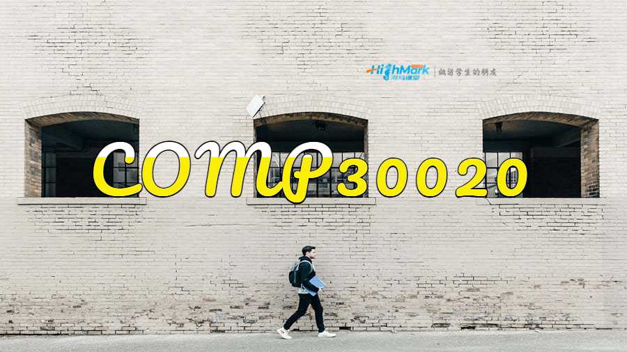 COMP30020