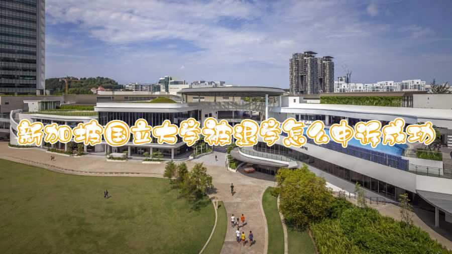 新加坡國立大學被退學怎么申訴成功
