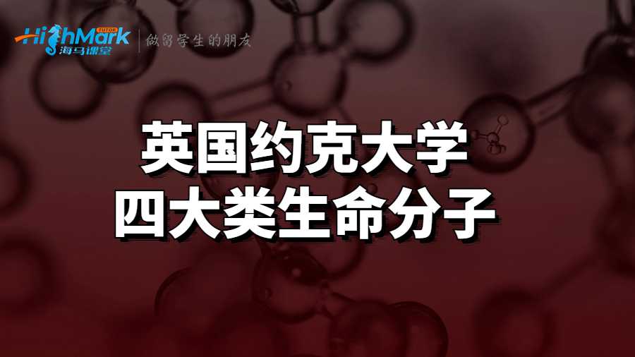 約克大學