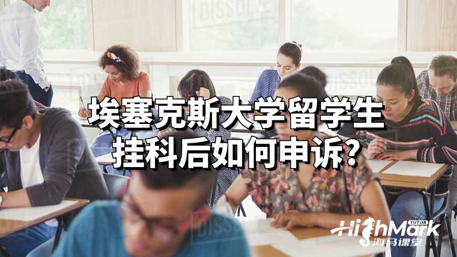 埃塞克斯大學