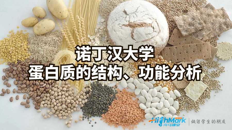 諾丁漢大學