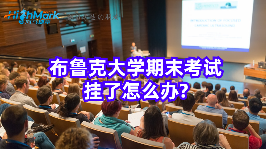 布魯克大學