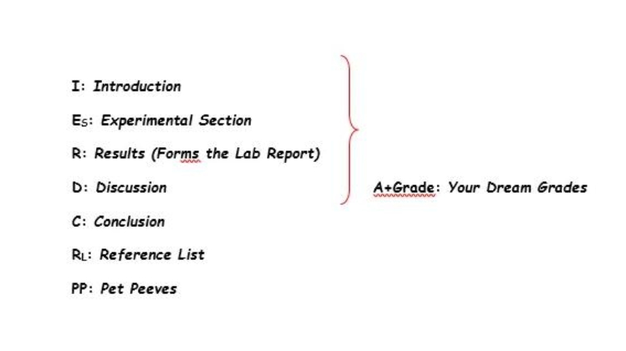 曼徹斯特大學化學作業(yè)怎么做