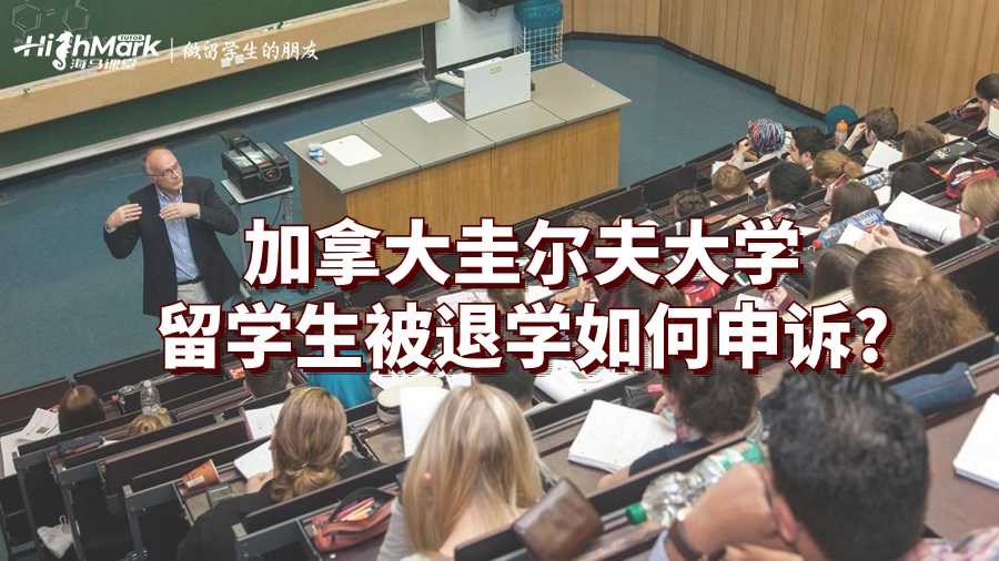 圭爾夫大學