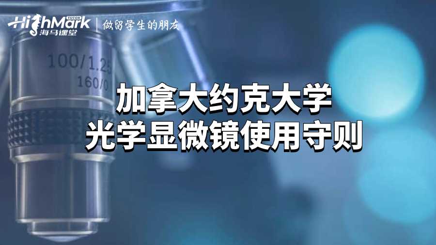 約克大學