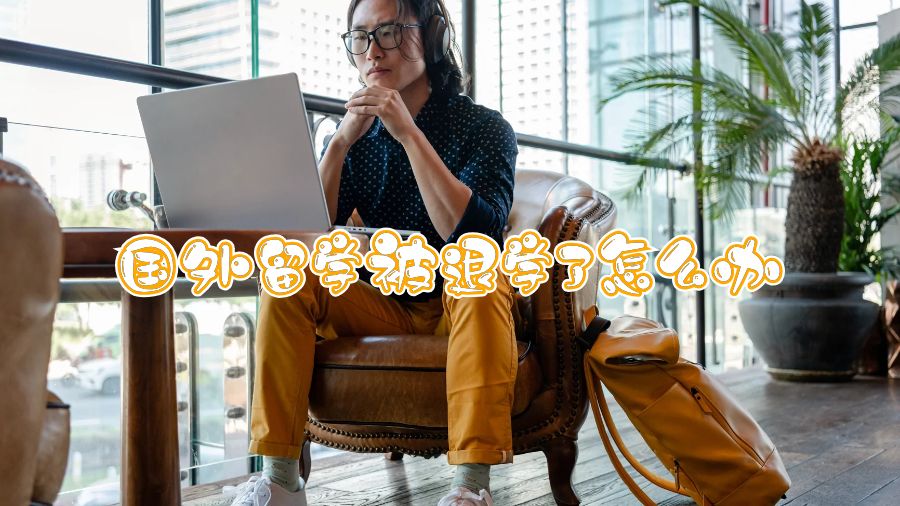 國外留學被退學了怎么辦