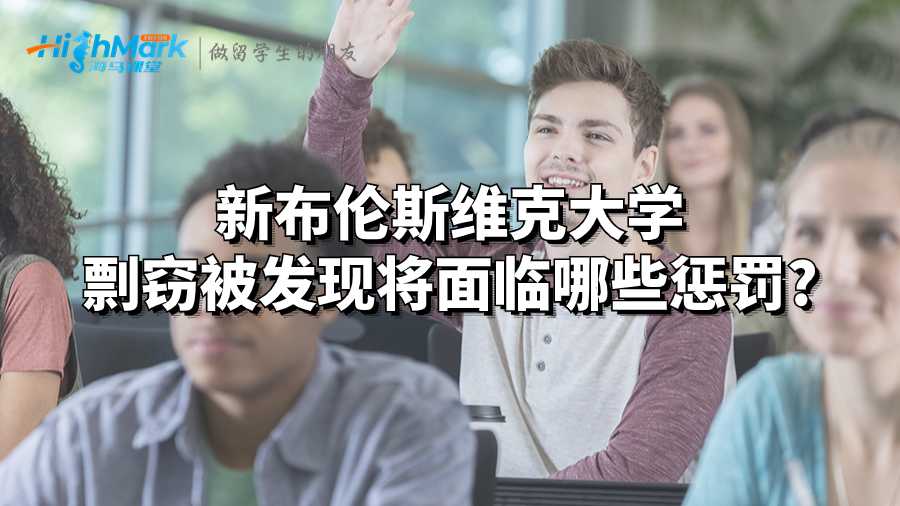 新布倫斯維克大學(xué)剽竊被發(fā)現(xiàn)將面臨哪些懲罰?