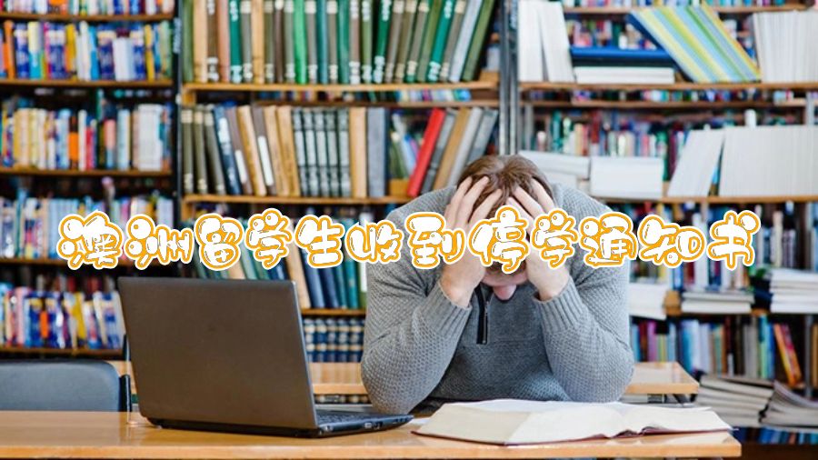 澳洲留學生收到停學通知書