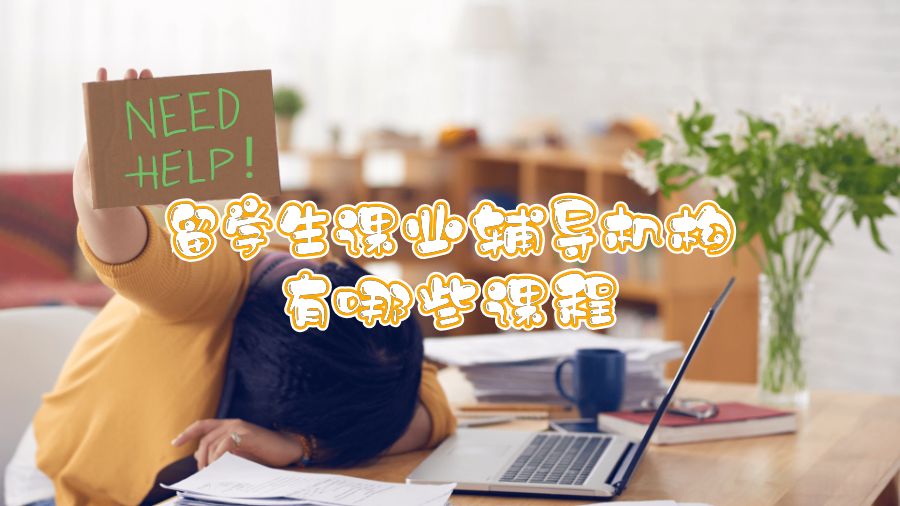 留學生課業輔導機構有哪些課程