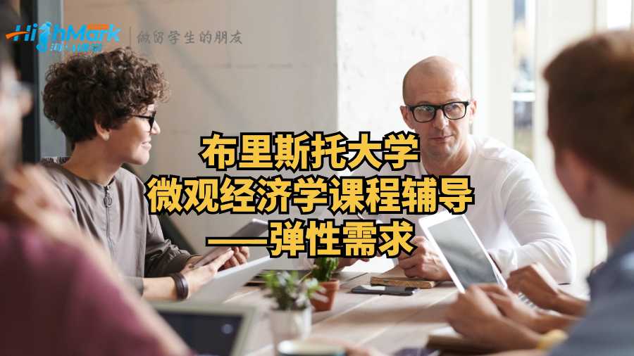 布里斯托大學微觀經濟學課程輔導——彈性需求