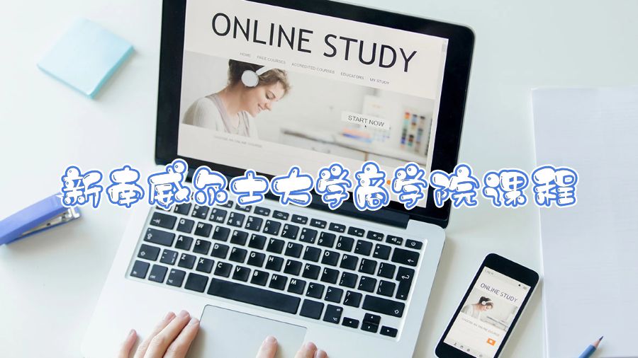 新南威爾士大學商學院課程