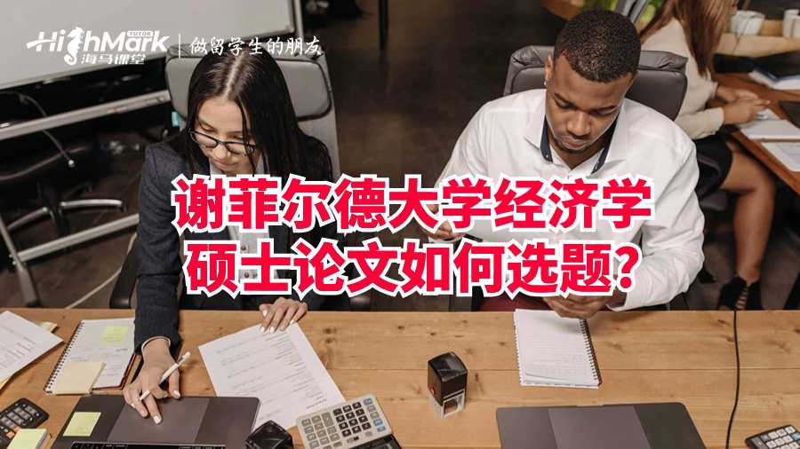 謝菲爾德大學經濟學碩士論文如何選題?
