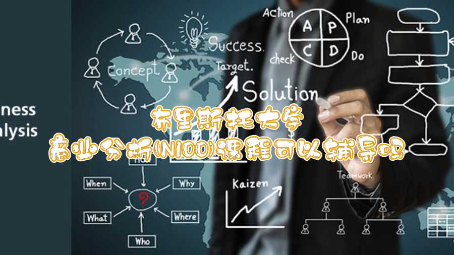 布里斯托大學商業分析(N100)課程可以輔導嗎