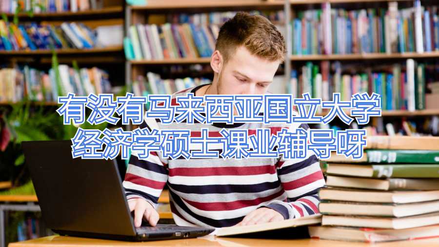 有沒有馬來西亞國立大學經濟學碩士課業輔導呀