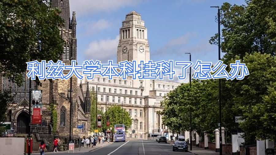 利茲大學本科掛科了怎么辦