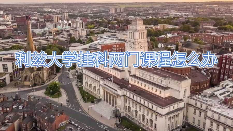 利茲大學掛科兩門課程怎么辦
