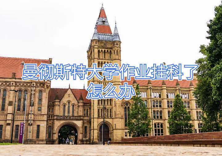 曼徹斯特大學(xué)作業(yè)掛科了怎么辦