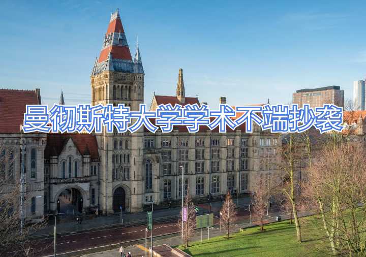 曼徹斯特大學(xué)學(xué)術(shù)不端抄襲