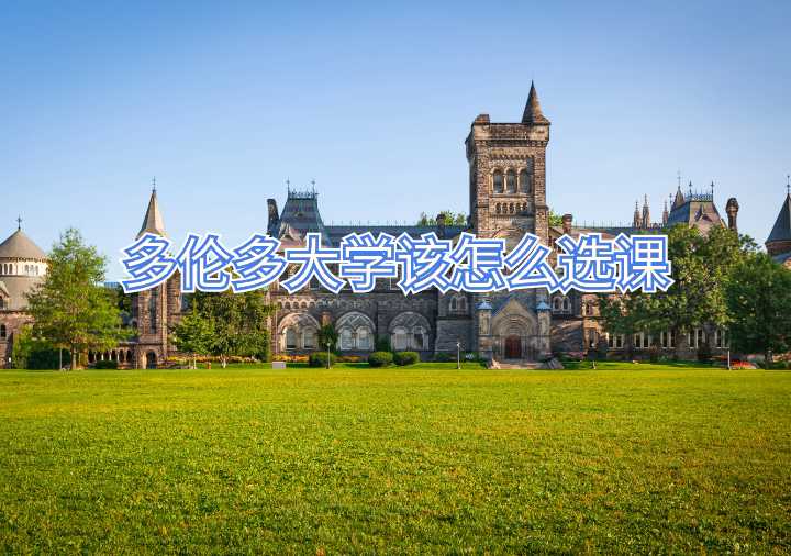 多倫多大學該怎么選課