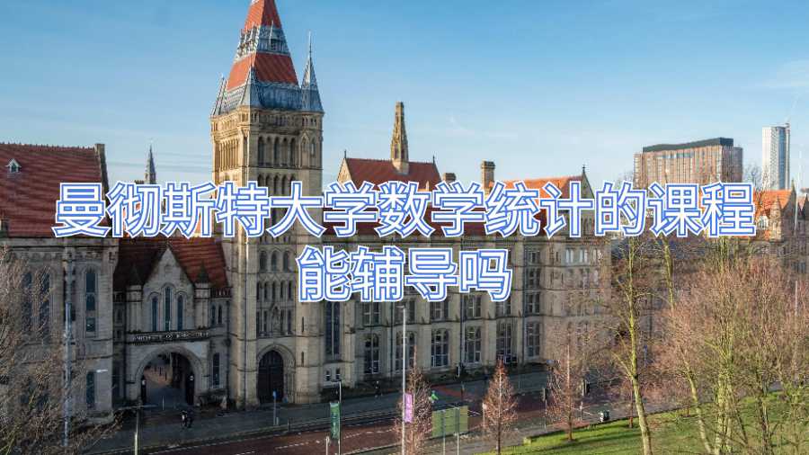 曼徹斯特大學數學統計的課程能輔導嗎