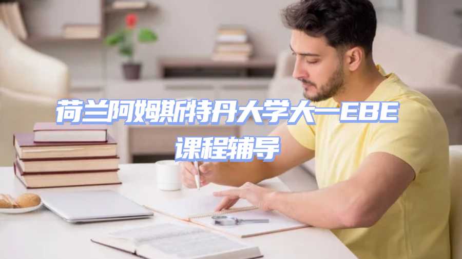 荷蘭阿姆斯特丹大學大一EBE課程輔導