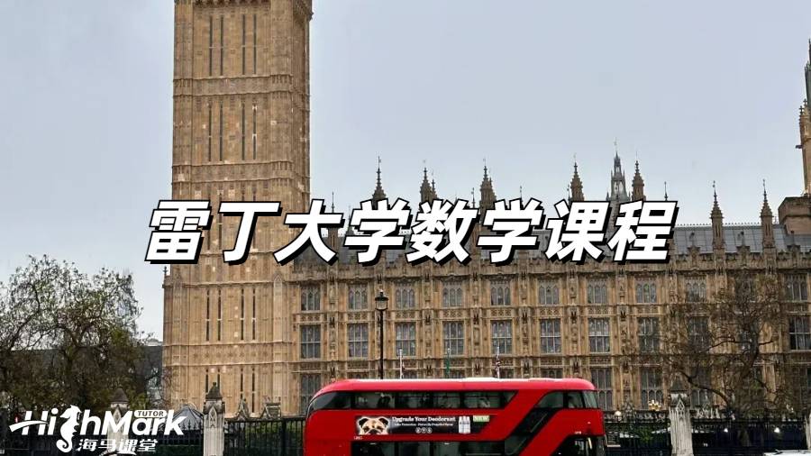 雷丁大學數學課程主要講什么？
