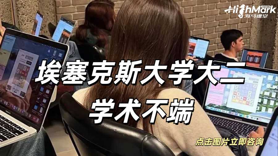 埃塞克斯大學大二學術不端