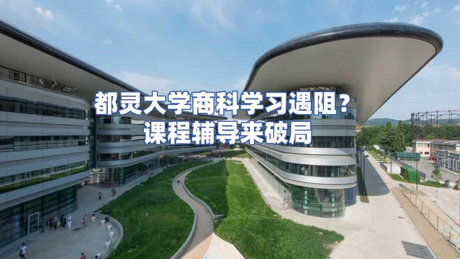 都靈大學(xué)商科課程輔導(dǎo)