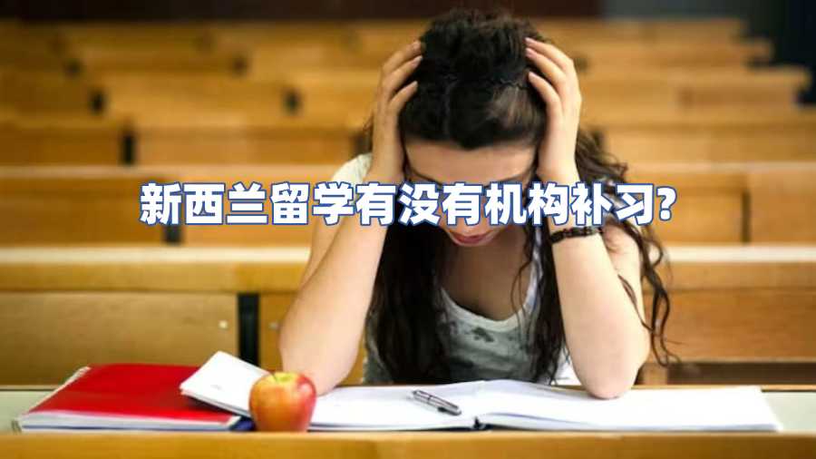 新西蘭留學有沒有機構補習