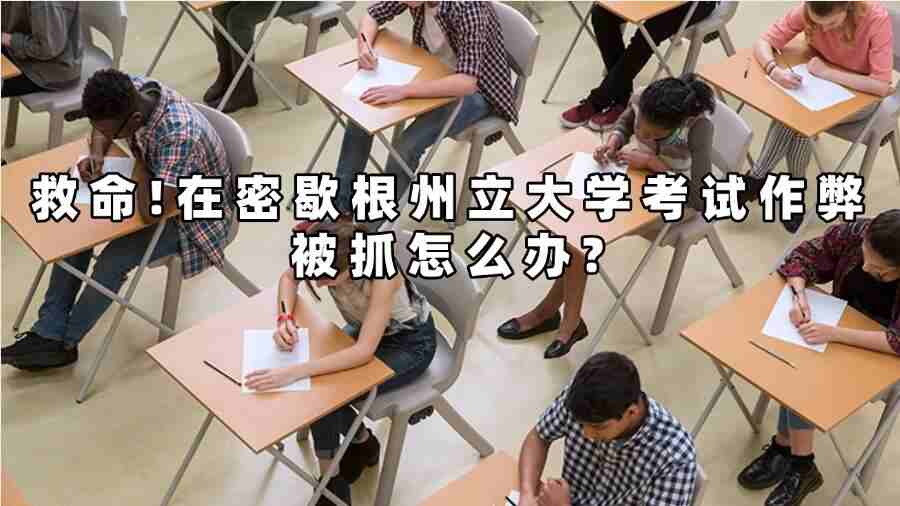 密歇根州立大學(xué)學(xué)術(shù)不端