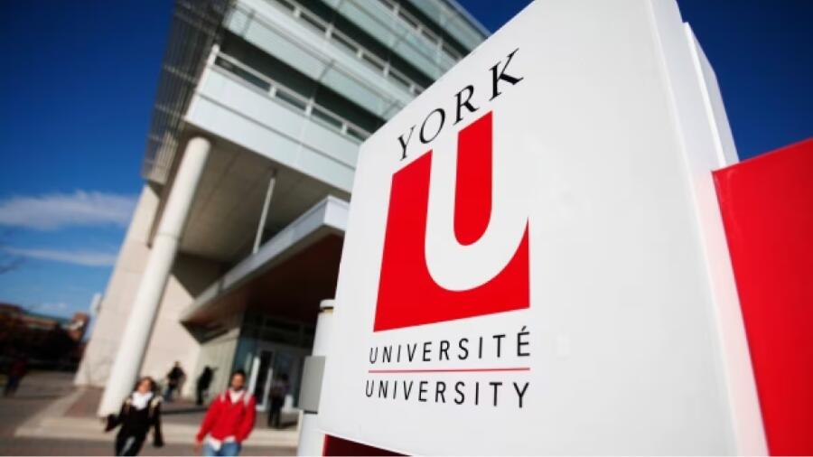 加拿大約克大學25屆新生怎么選課