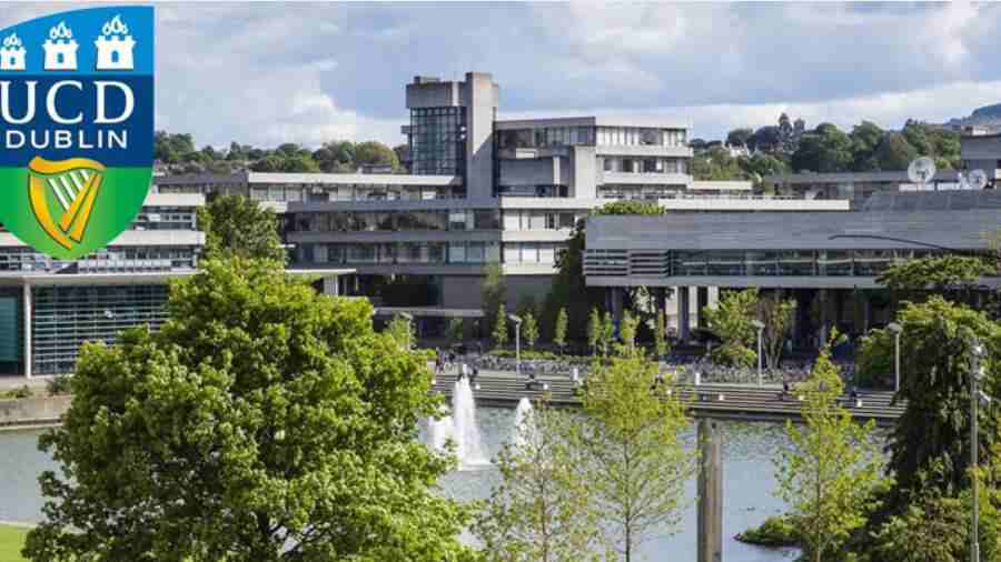 UCD都柏林大學學術不端申訴流程