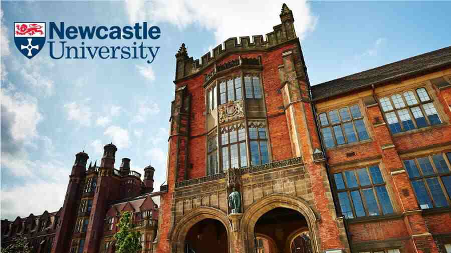 英國紐卡斯爾大學課程輔導