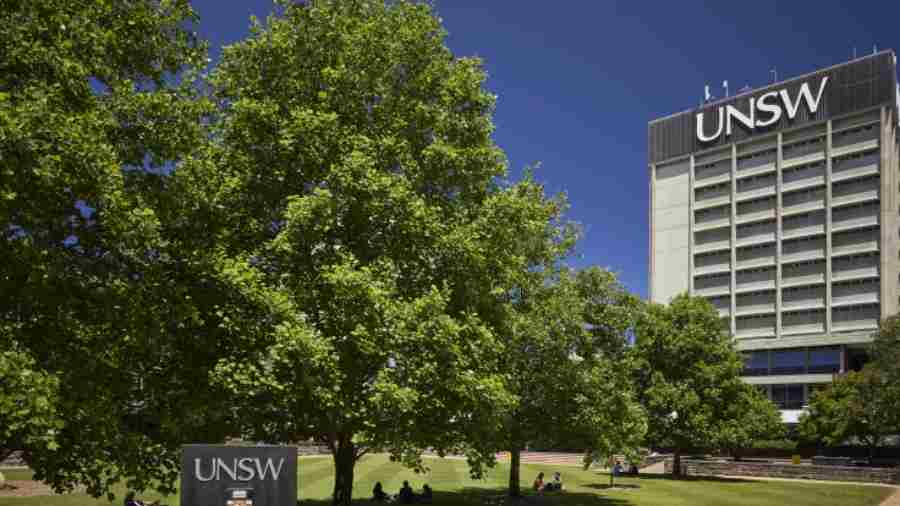 【UNSW】3784課程選課全攻略|詳細選課建議與課程解析