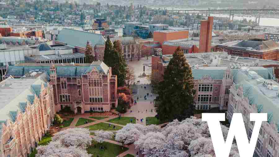 華盛頓大學作業多、考試難?學習方法大揭秘