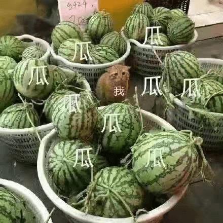 1月份我們新加入了這些小伙伴！??！