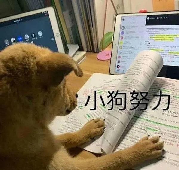 聽說還有海馬er不知道我們在B站更新視頻？